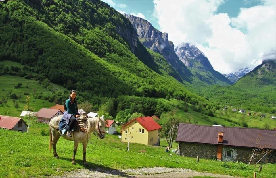 Dedushi Guesthouse &Wood Cabins-Camping Place Gusinje ภายนอก รูปภาพ